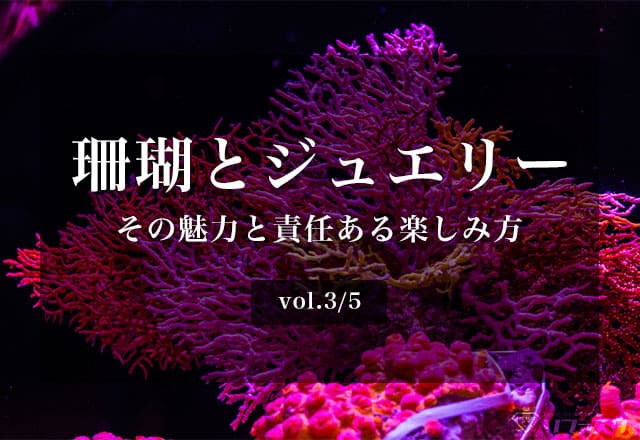 珊瑚とジュエリー | 宝石の高額買取なら実績No.1のリファスタ（東京