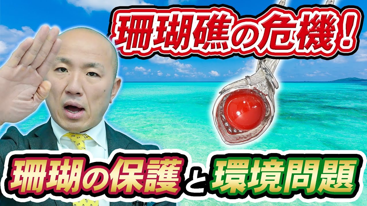 女の子向けプレゼント集結 染色なし 本血赤珊瑚 珊瑚 赤珊瑚 帯留め 染込ん 原木 ルース アクセサリー