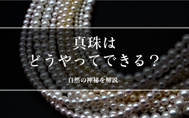 真珠はどうやってできる？自然の神秘を解説 | 宝石の高額買取なら実績