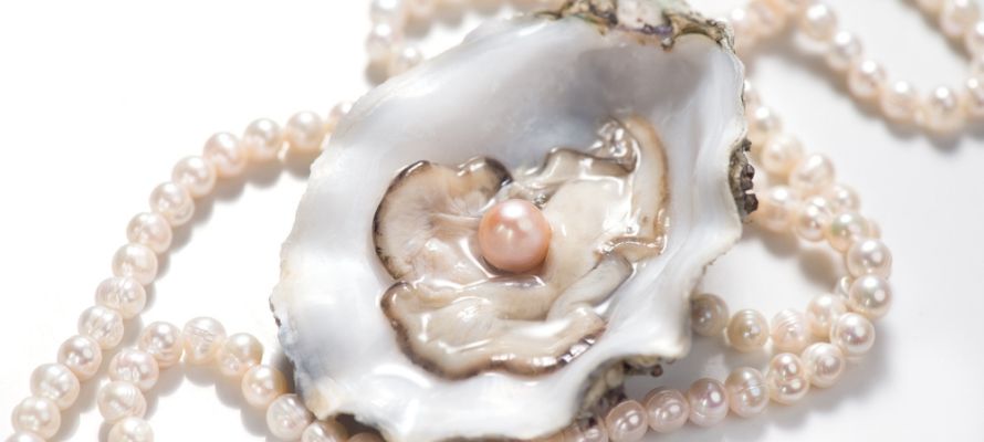 ❷アクセサリーイミテーションまとめ売り 10キロ以上 シルバーパール珊瑚などあり 真珠とダイヤが浮き立ち輝く上品デザイン】8.5mmUP 越物花珠真珠