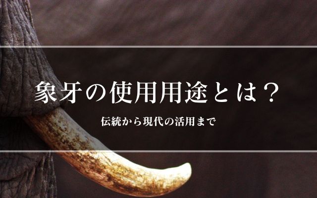 象牙の使用用途とは？伝統から現代の活用まで | 宝石の高額買取なら実績No.1のリファスタ