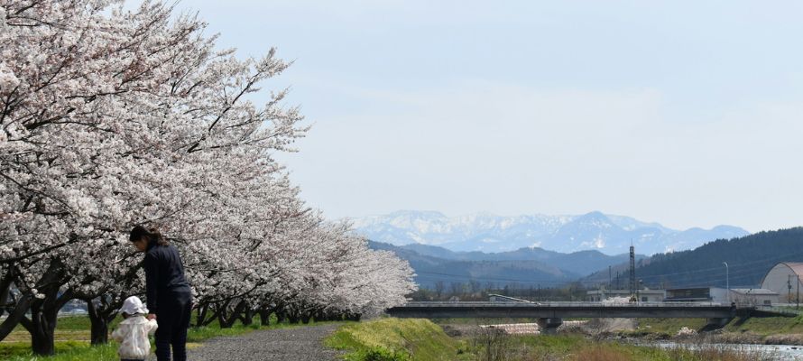 翡翠（ヒスイ）は日本で採れる？糸魚川市のヒスイ海岸とは？ | 宝石の高額買取なら実績No.1のリファスタ