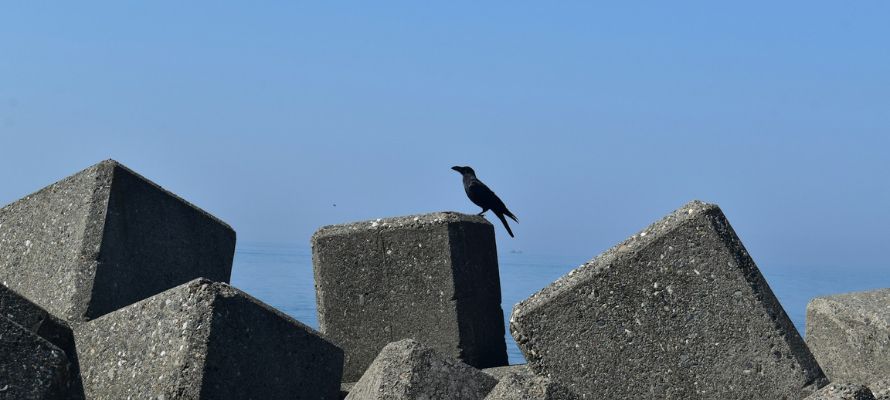 翡翠（ヒスイ）は日本で採れる？糸魚川市のヒスイ海岸とは？ | 宝石の