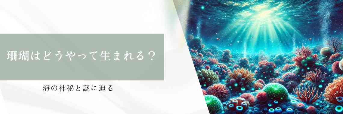 珊瑚はどうやって生まれる？海の神秘と謎に迫る | 宝石の高額買取なら