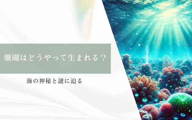 珊瑚はどうやって生まれる？海の神秘と謎に迫る | 宝石の高額買取なら