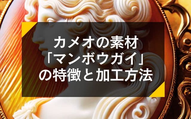 まとめ買い　貝殻　8点セットマンボウガイ　アオイガイ シャコガイ トウカムリガイ マンボウガイ | ELFIN'S NOTE - 楽天ブログ
