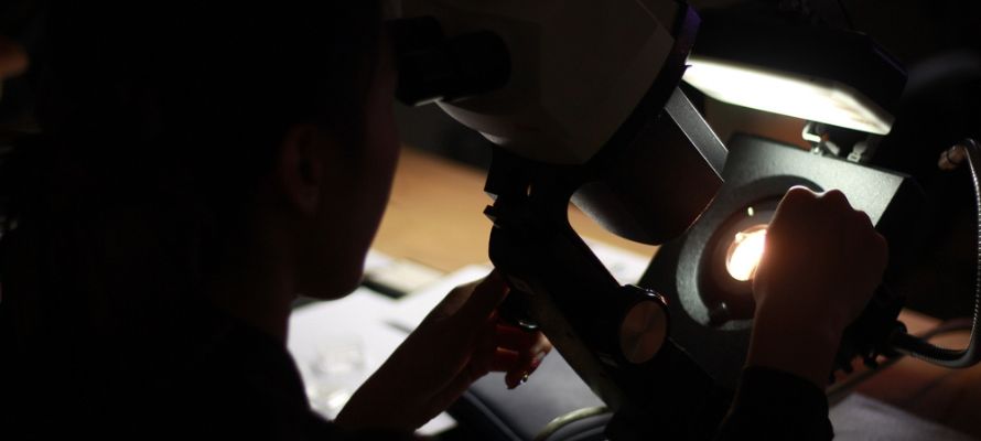 リファスタ大阪心斎橋店のX線分析の特徴